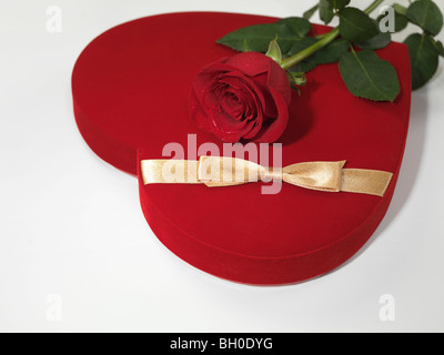 Cuore rosso a forma di scatola regalo e una rosa rossa isolato su sfondo bianco Foto Stock