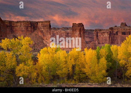 Courthouse lavaggio, Arches National Park, vicino a Moab, Utah. Foto Stock