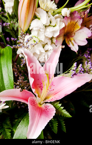 Bouquet di fiori isolati su sfondo bianco Foto Stock