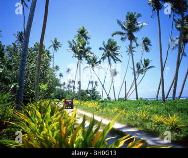 Jeep sulla via, West Coast Beach, Isola Upolu, Samoa Foto Stock