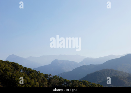 Viola della valle delle farfalle sotto il cielo blu, catena montuosa centrale, Maolin, Taiwan, Asia Foto Stock