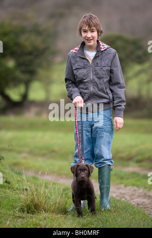 Il cioccolato Labrador cane e proprietario unico giovane cucciolo maschio con adolescente Portesham a piedi Foto Stock