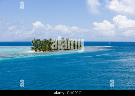 Piccola isola Motu con palme a Raiatea Laguna, Raiatea, Isole della Società, Polinesia francese, South Pacific Oceania Foto Stock