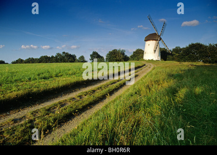 Il mulino a vento di Engelsberg, vicino a Krefeld, Regione del Basso Reno, Nord Reno-Westfalia, Germania Foto Stock