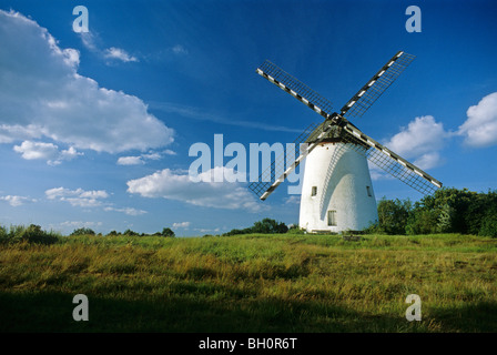 Il mulino a vento di Engelsberg, vicino a Krefeld, Regione del Basso Reno, Nord Reno-Westfalia, Germania Foto Stock