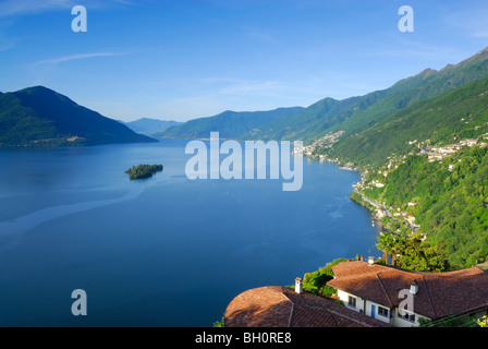 Il Lago Maggiore con isola di Brissago, Isole di Brissago, Ronco sopra Ascona, Lago Maggiore, Lago Maggiore, Ticino, Svizzera Foto Stock
