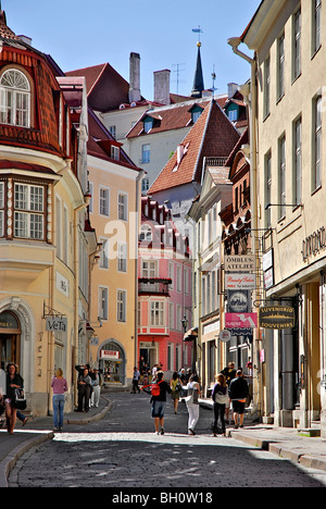 Pikk Street nella città vecchia di Tallinn, Estonia Foto Stock