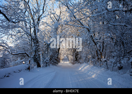 Un snowy lane near Snowshill in Gloucestershire, Regno Unito Foto Stock