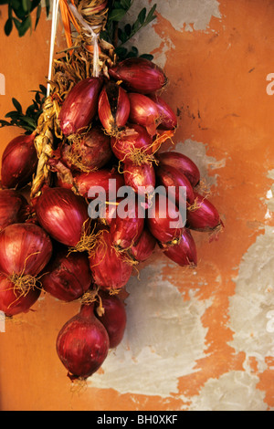 Stringa di cipolle rosse appese al di fuori di un piccolo negozio nella località di Alassio sulla Riviera Italiana Foto Stock