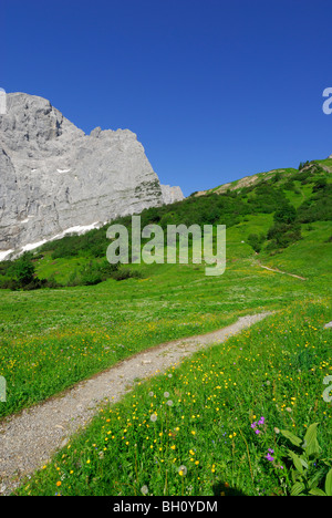 Percorso in pascolo alpino che conducono verso la gamma della montagna, Eng, Enger Alm, gamma Karwendel, Tirolo, Austria Foto Stock