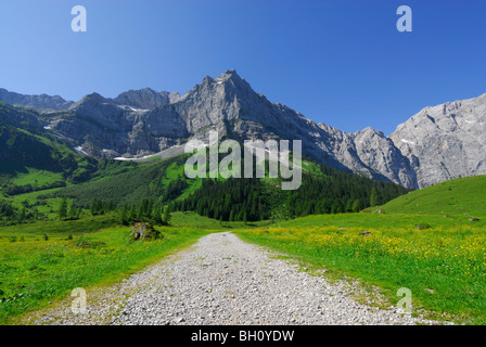 Percorso in pascolo alpino che conducono verso la gamma della montagna, Eng, Enger Alm, gamma Karwendel, Tirolo, Austria Foto Stock