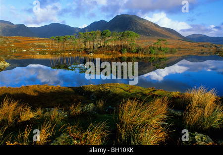 Ballynahinch Lago e riflessione, Connemara, Co. Galway, Irlanda, Europa Foto Stock