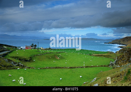 Paesaggio rurale con case coloniche dell'anello di Beara, vicino Allihies, Co. Cork, Irlanda, Europa Foto Stock