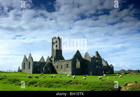 Rovine di Ross Abbey vicino Headford, Connemara, nella contea di Galway, Irlanda, Europa Foto Stock