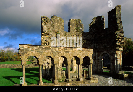 Le rovine di Mellifont abbazia sotto le nuvole scure, nella contea di Louth, Irlanda, Europa Foto Stock