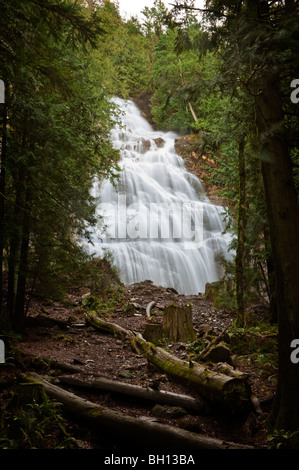 Bella cade nuziale cascata situata vicino Chiliwack, British Columbia in Fraser Valley. Il cade goccia 400 piedi. Foto Stock