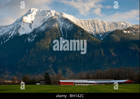 Farmland domina il paesaggio del Fraser Valley, British Columbia. Snow capped Mt. Cheam può essere visto in background. Foto Stock