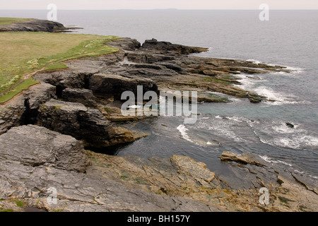 Costa rocciosa a testa a gancio nella Contea di Wexford Eire. Foto Stock