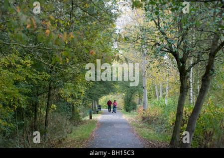 Un giovane a piedi attraverso un viale alberato su una giornata autunnale a freccia Valley Country Park in Redditch Worcestershire Foto Stock