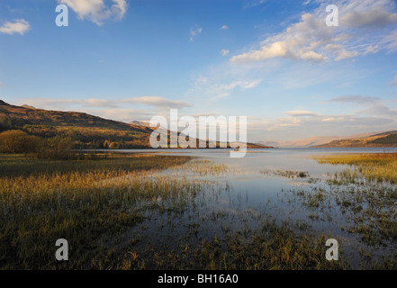 Serata calda luce sul Loch Tay e le circostanti colline vicino a Killin, Perthshire, Scotland, Regno Unito Foto Stock