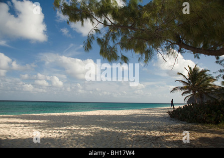 La spiaggia di Fallo Bay sulla costa sud-est di Barbados, le isole Windward, Caraibi Foto Stock