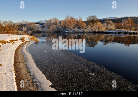 Smerigliati alberi lungo la neve e ghiaccio-coperto sponde del Loch Tay con bassa serata sole sotto un cielo blu Foto Stock