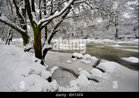 Snowy viale alberato di argini di fiumi e parzialmente Frozen River Foto Stock