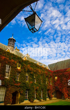 Lincoln College Oxford Inghilterra Regno Unito Europa Foto Stock