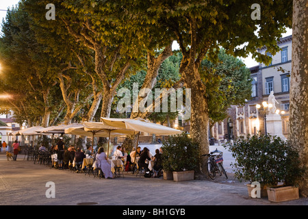 Piazza Napoleone, Lucca, Toscana, Italia Foto Stock