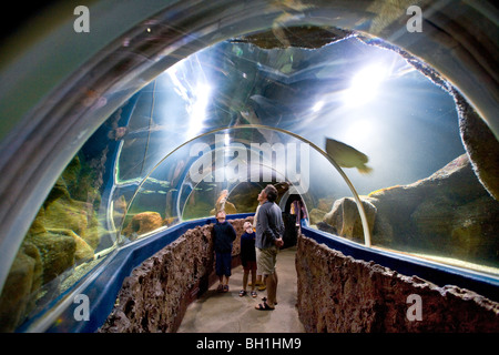 Le persone che visitano acquario, Westerland, isola di Sylt, Schleswig-Holstein, Germania Foto Stock