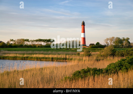 Faro, Pellworm Island, a nord delle Isole Frisone, Schleswig-Holstein, Germania Foto Stock