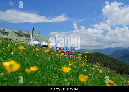 Mare di fiori e rifugio alpino Aueralm, Fockenstein, Bad Wiessee, prealpi bavaresi, gamma bavarese, Alta Baviera, Baviera, Ger Foto Stock