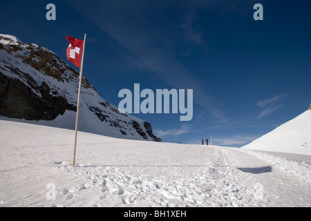 Jungfraufirn ghiacciaio, bandiera svizzera, Grindelwald, Oberland Bernese (Highlands), il Cantone di Berna, Svizzera Foto Stock
