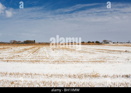 Terreni agricoli sul bordo delle paludi, nei pressi del villaggio di occhio, Peterborough, CAMBRIDGESHIRE Foto Stock