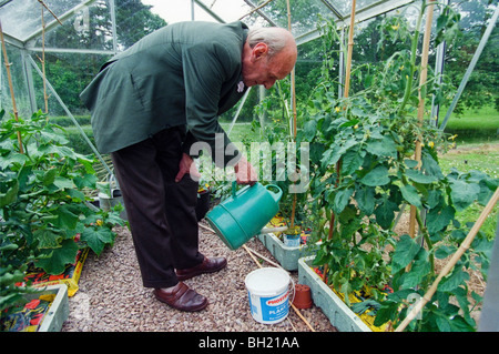 Signore Raglan raffigurata nel giardino della sua casa a Cefn Tilla Corte vicino a Usk Monmouthshire South Wales UK Foto Stock