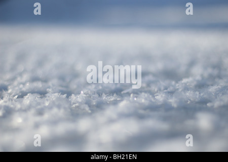 Una chiusura di cristalli di ghiaccio sulla superficie di un torrente. Foto Stock