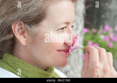 Close-up donna odora di petunia, Manitoba, Canada Foto Stock