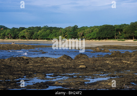 Litorale vulcanica di Playa Tamarindo, Costa Rica con spiaggia e mangrovie in background Foto Stock