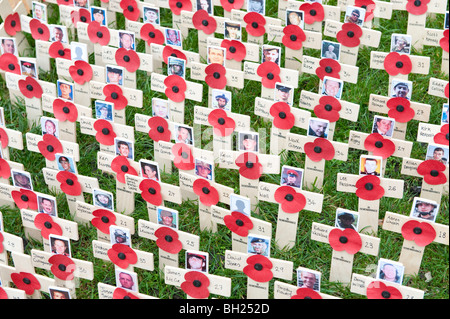 Croci di legno con papaveri e foto di guerra britannici morti in Iraq e Afghanistan nel campo della Rimembranza Westminster Abbey Foto Stock