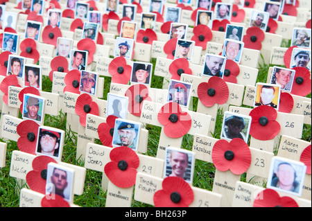 Croci di legno con papaveri foto di guerra britannici morti in Iraq e Afghanistan nel campo della Rimembranza Westminster Abbey Foto Stock