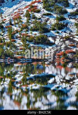 Ellery Lago con Autunno a colori e di riflessione dopo la nevicata. Inyo National Forest, California Foto Stock