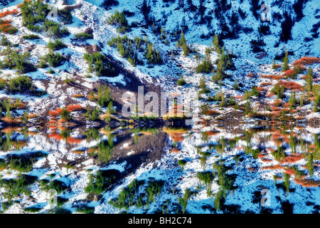 Ellery Lago con Autunno a colori e di riflessione dopo la nevicata. Inyo National Forest, California Foto Stock