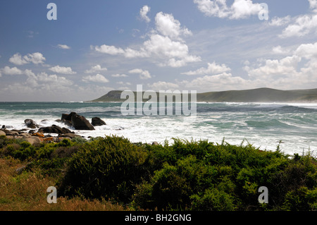 Vento vento tempestoso giorno meteo postberg sezione west coast national park wetsern capo sud aftrica boulder spiaggia oceano atlantico Foto Stock