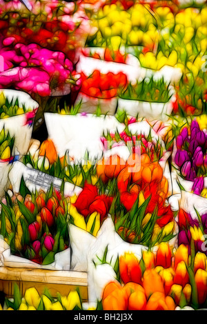 Illustrazione della foto: visualizza di tulipani per la vendita su un mercato in primavera Foto Stock