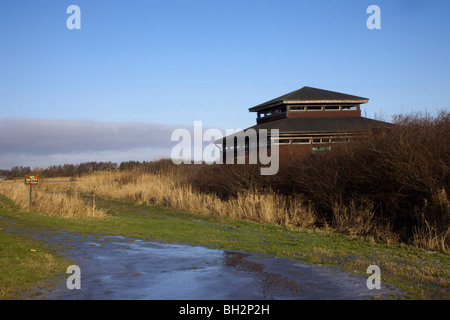 Inverno Leighton Moss RSPB · Martin Mere Wildfowl and Wetlands Trust Bird nascondere, Locale Riserva Naturale, Wigan Greater Manchester, Lancashire, Regno Unito Foto Stock