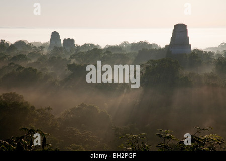 Sunrise e early morning mist a Tikal sito archeologico. Foto Stock