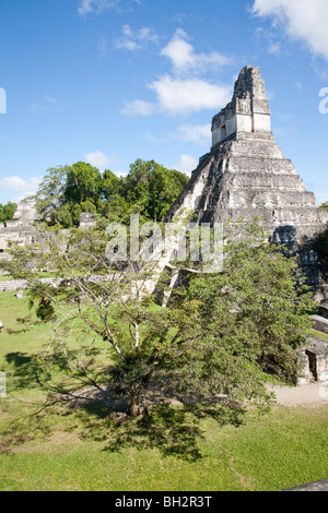 Tempio che io, tempio della grande costruzione Jaguar a Tikal sito archeologico. Guatemala. Foto Stock