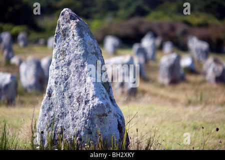 Allineamento megalitico di Menec, città di Carnac, departament del Morbihan, in Bretagna, Francia Foto Stock