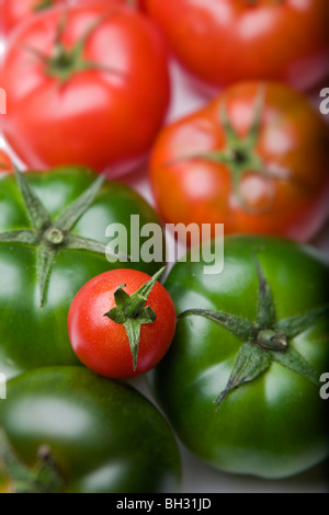 Pomodori verdi su sfondo bianco Foto Stock