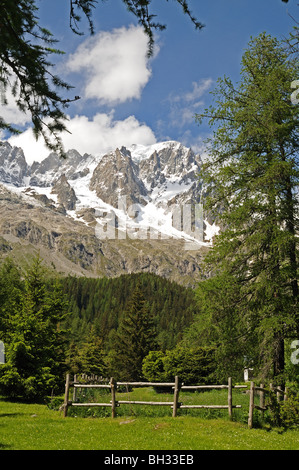 Grandes Jorasse cime alpine visto dalla frazione Entreves Courmayeur Italia con il fiume Dora di Ferret in primo piano Foto Stock